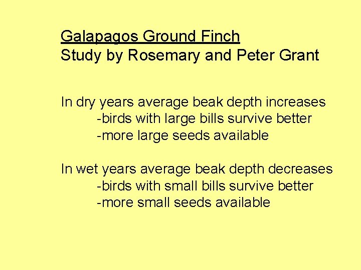 Galapagos Ground Finch Study by Rosemary and Peter Grant In dry years average beak