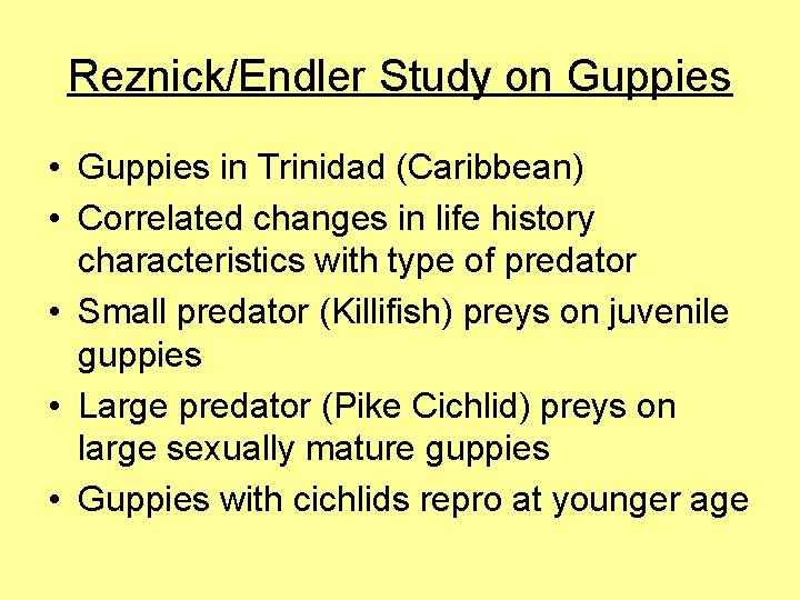 Reznick/Endler Study on Guppies • Guppies in Trinidad (Caribbean) • Correlated changes in life