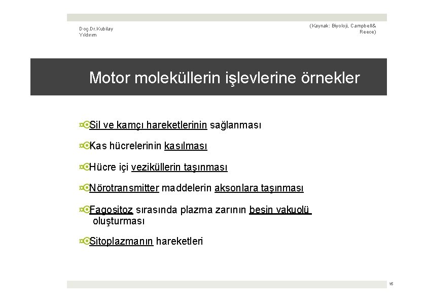 Doç. Dr. Kubilay Yıldırım (Kaynak: Biyoloji, Campbell & Reece) Motor moleküllerin işlevlerine örnekler ¤