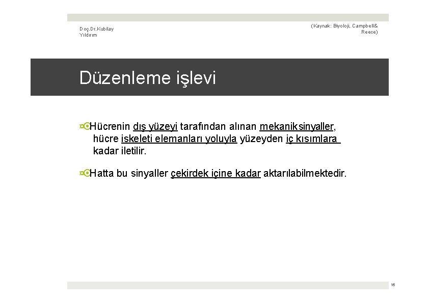 Doç. Dr. Kubilay Yıldırım (Kaynak: Biyoloji, Campbell & Reece) Düzenleme işlevi ¤ Hücrenin dış