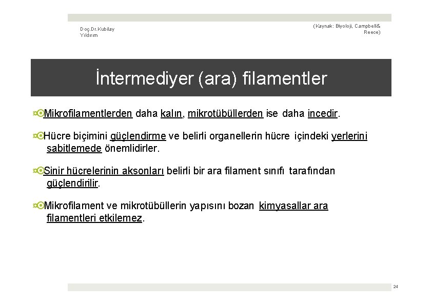 Doç. Dr. Kubilay Yıldırım (Kaynak: Biyoloji, Campbell & Reece) İntermediyer (ara) filamentler ¤ Mikrofilamentlerden