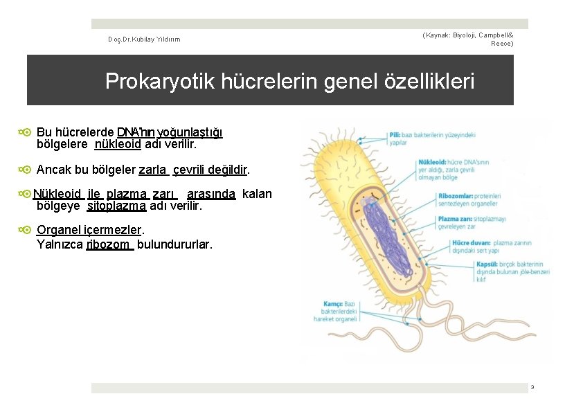 Doç. Dr. Kubilay Yıldırım (Kaynak: Biyoloji, Campbell & Reece) Prokaryotik hücrelerin genel özellikleri ¤