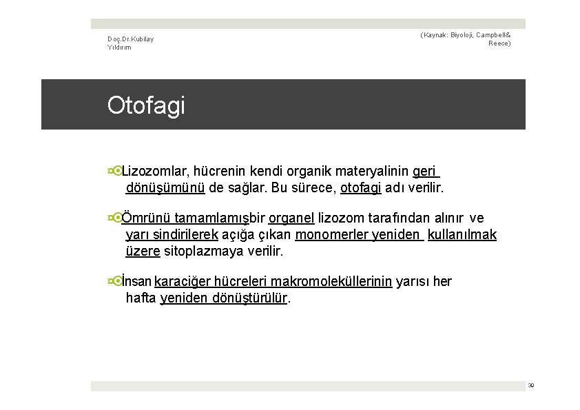 Doç. Dr. Kubilay Yıldırım (Kaynak: Biyoloji, Campbell & Reece) Otofagi ¤ Lizozomlar, hücrenin kendi