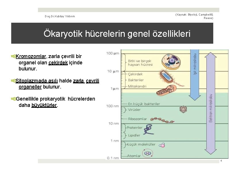 Doç. Dr. Kubilay Yıldırım (Kaynak: Biyoloji, Campbell & Reece) Ökaryotik hücrelerin genel özellikleri ¤