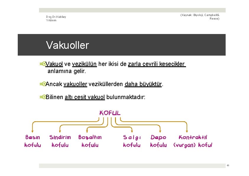 Doç. Dr. Kubilay Yıldırım (Kaynak: Biyoloji, Campbell & Reece) Vakuoller ¤ Vakuol ve vezikülün