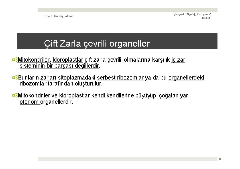 Doç. Dr. Kubilay Yıldırım (Kaynak: Biyoloji, Campbell & Reece) Çift Zarla çevrili organeller ¤