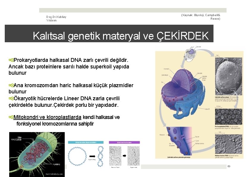 Doç. Dr. Kubilay Yıldırım (Kaynak: Biyoloji, Campbell & Reece) Kalıtsal genetik materyal ve ÇEKİRDEK