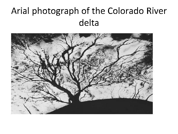 Arial photograph of the Colorado River delta 