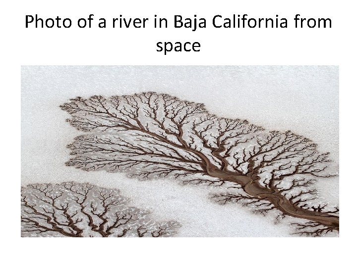 Photo of a river in Baja California from space Photo of a river in Baja California from space