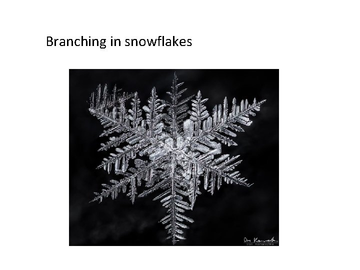 Branching in snowflakes Branching in snowflakes