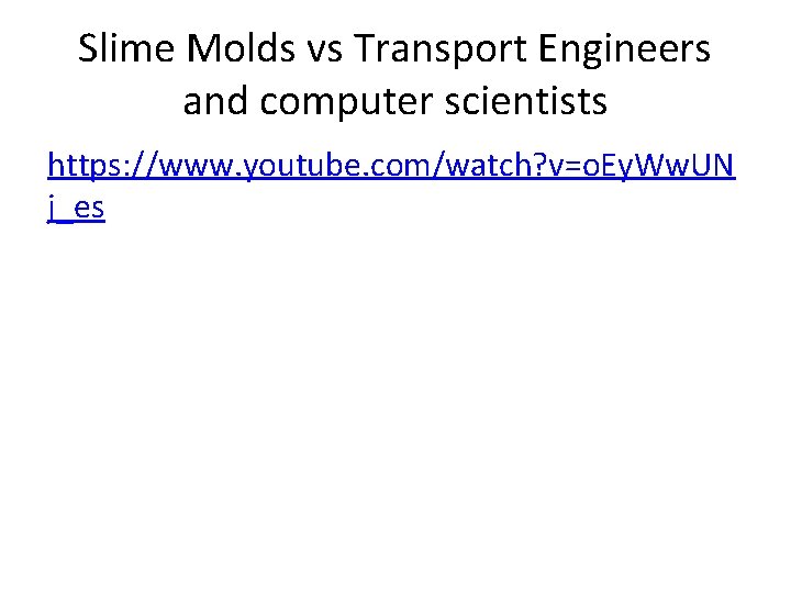 Slime Molds vs Transport Engineers and computer scientists https: //www. youtube. com/watch? v=o. Ey.