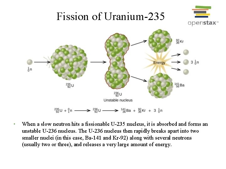 Fission of Uranium-235 • When a slow neutron hits a fissionable U-235 nucleus, it