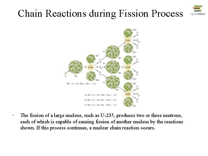 Chain Reactions during Fission Process • The fission of a large nucleus, such as
