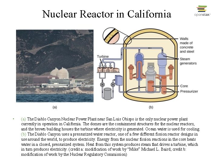 Nuclear Reactor in California • (a) The Diablo Canyon Nuclear Power Plant near San