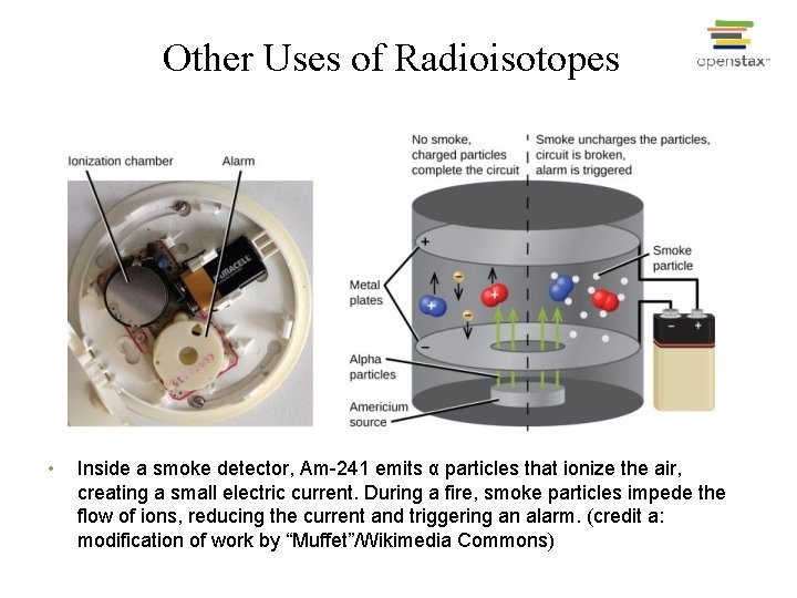 Other Uses of Radioisotopes • Inside a smoke detector, Am-241 emits α particles that