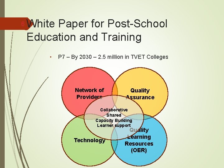 6 White Paper for Post-School Education and Training • P 7 – By 2030