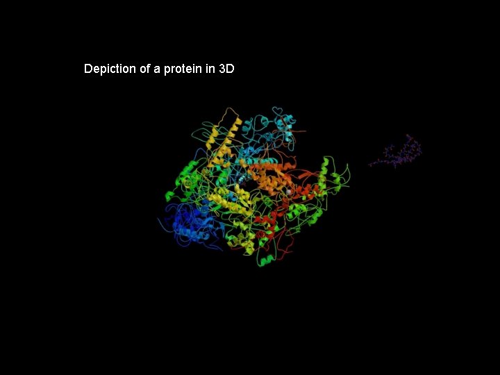 Depiction of a protein in 3 D 