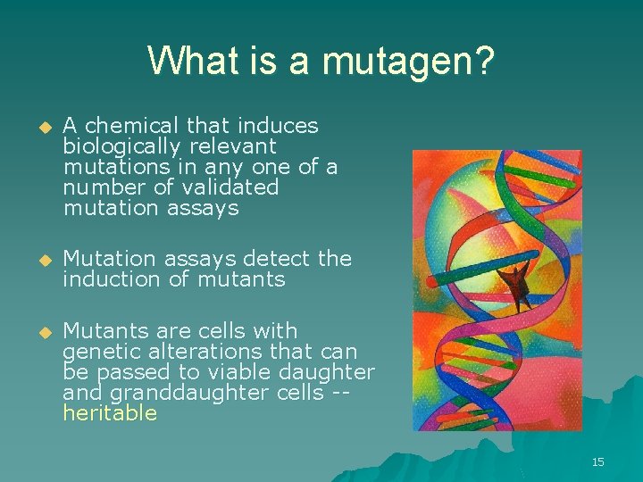 What is a mutagen? u A chemical that induces biologically relevant mutations in any