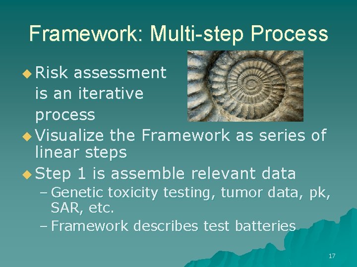 Framework: Multi-step Process u Risk assessment is an iterative process u Visualize the Framework