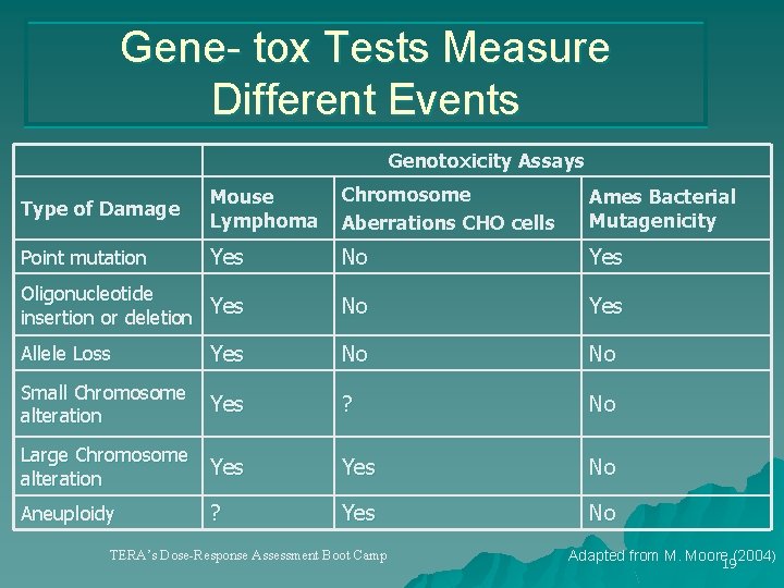 Gene- tox Tests Measure Different Events Genotoxicity Assays Type of Damage Mouse Lymphoma Chromosome