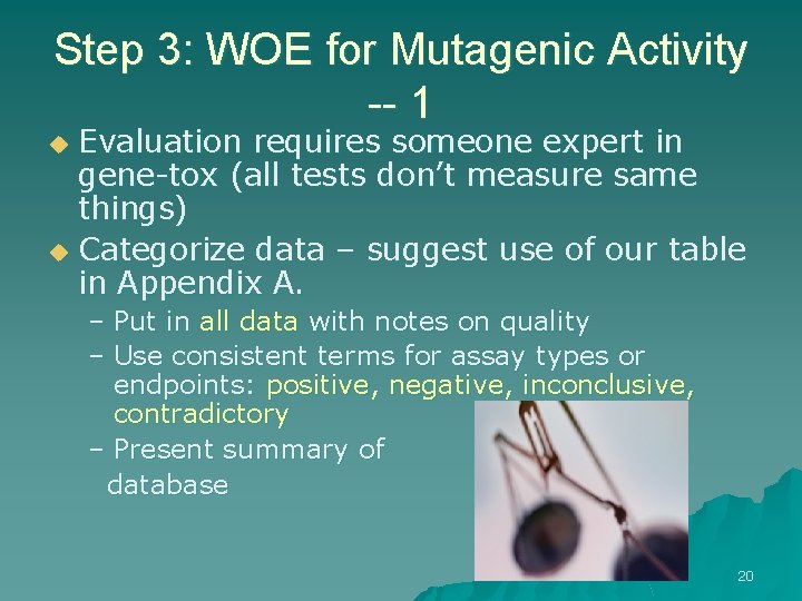 Step 3: WOE for Mutagenic Activity -- 1 Evaluation requires someone expert in gene-tox