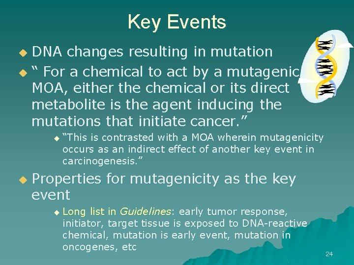 Key Events DNA changes resulting in mutation u “ For a chemical to act