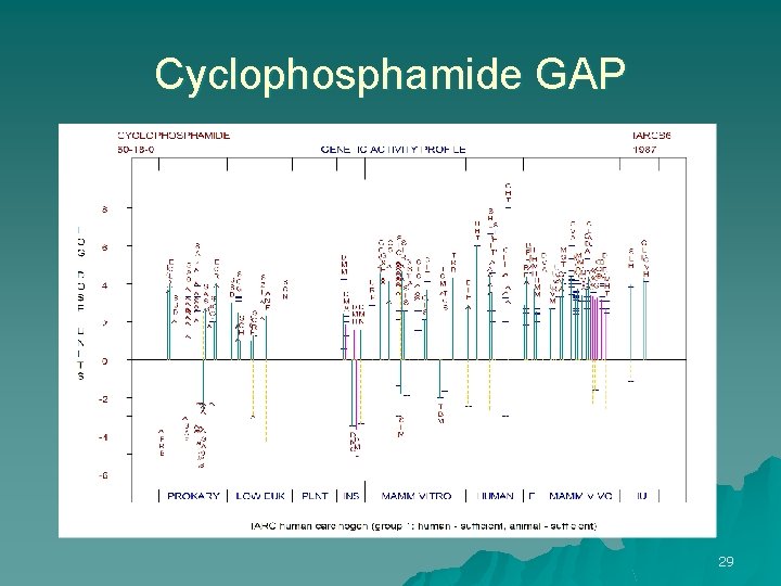 Cyclophosphamide GAP 29 