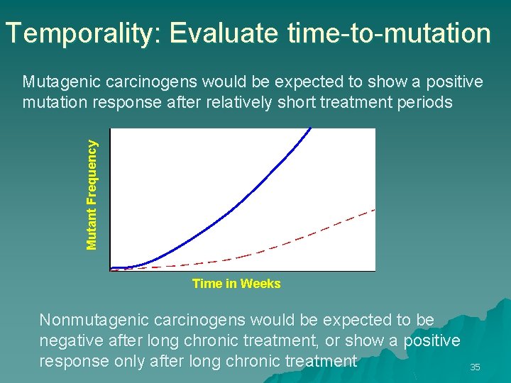 Temporality: Evaluate time-to-mutation Mutant Frequency Mutagenic carcinogens would be expected to show a positive