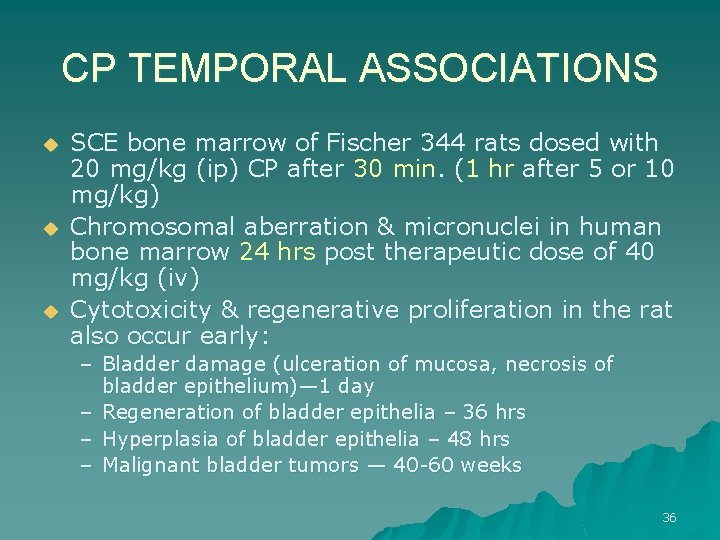 CP TEMPORAL ASSOCIATIONS u u u SCE bone marrow of Fischer 344 rats dosed