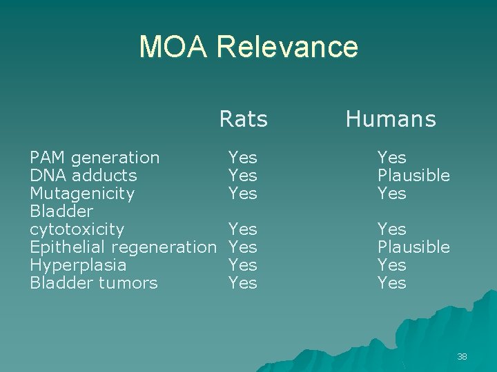 MOA Relevance Rats PAM generation DNA adducts Mutagenicity Bladder cytotoxicity Epithelial regeneration Hyperplasia Bladder