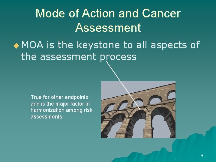 Mode of Action and Cancer Assessment u MOA is the keystone to all aspects
