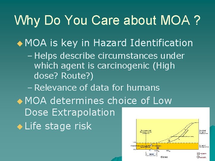 Why Do You Care about MOA ? u MOA is key in Hazard Identification
