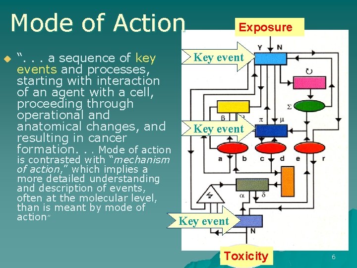 Mode of Action u “. . . a sequence of key events and processes,
