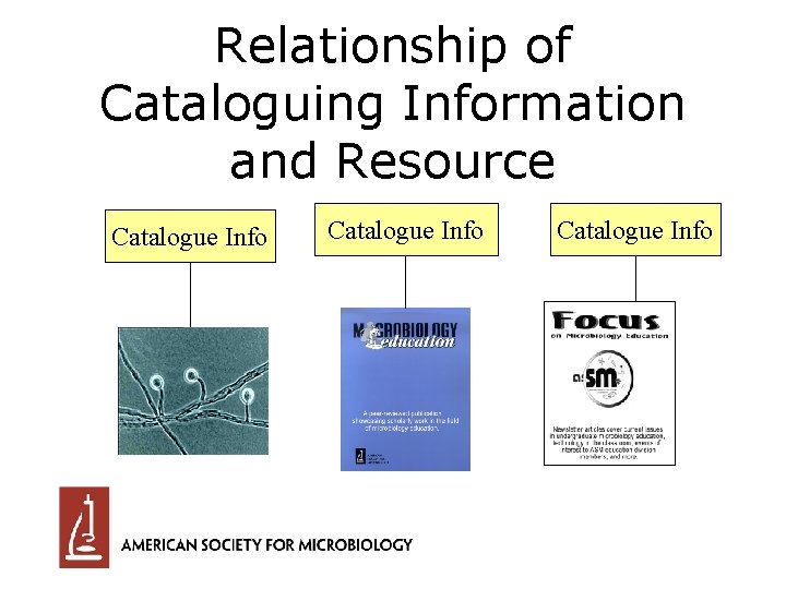 Relationship of Cataloguing Information and Resource Catalogue Info Catalogue Info 