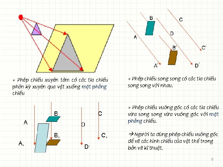 + Phép chiếu xuyên tâm có các tia chiếu phân kỳ xuyên qua vật