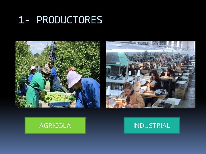 1 - PRODUCTORES AGRICOLA INDUSTRIAL 