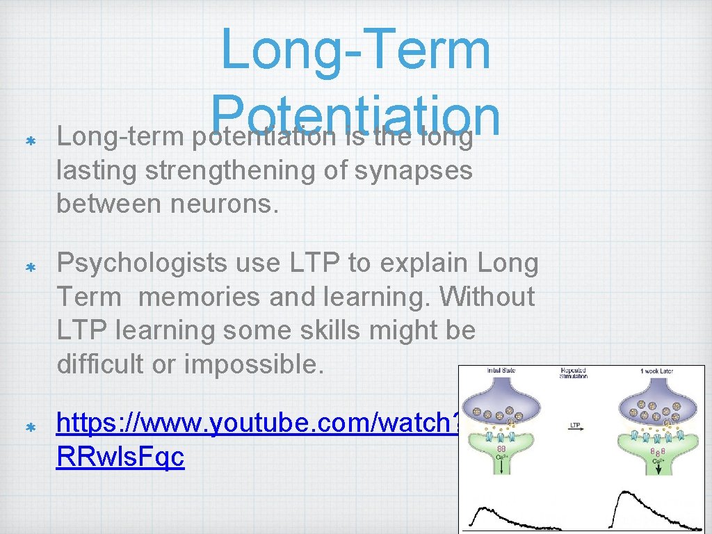 Long-Term Potentiation Long-term potentiation is the long lasting strengthening of synapses between neurons. Psychologists