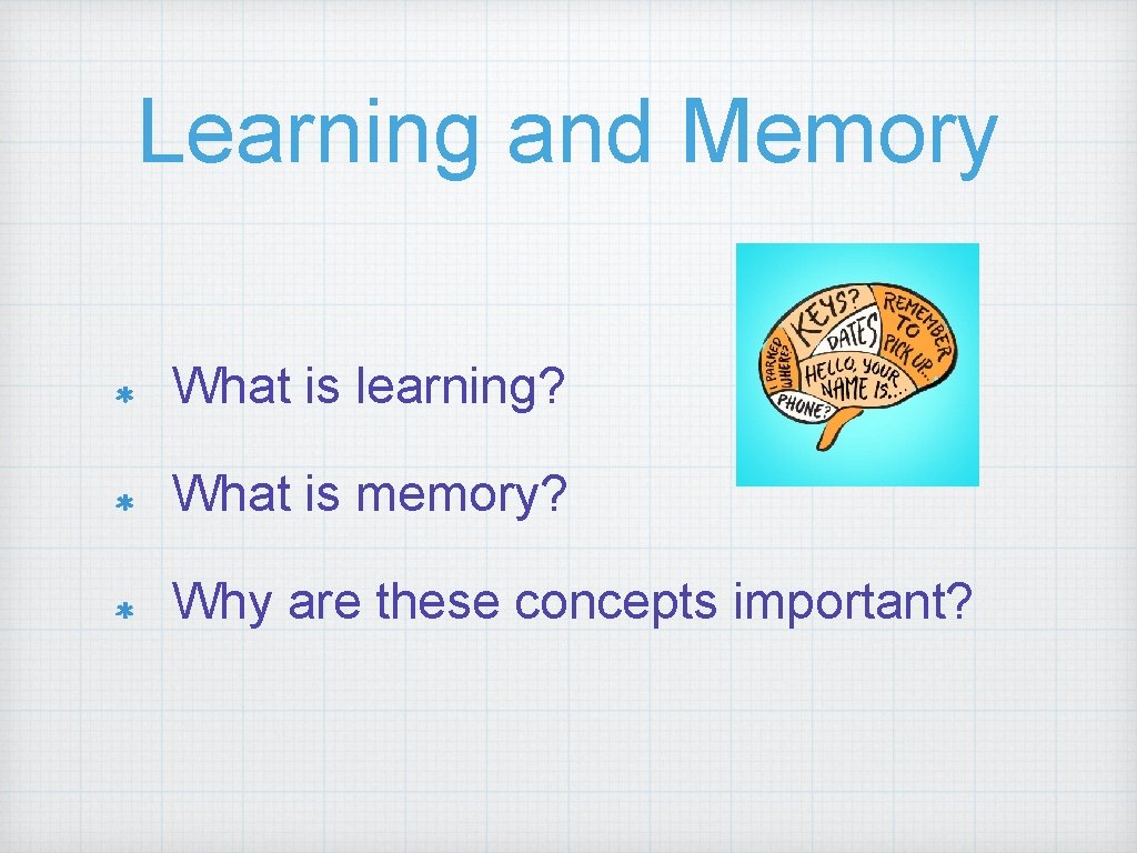 Learning and Memory What is learning? What is memory? Why are these concepts important?