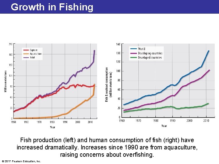 Growth in Fishing Fish production (left) and human consumption of fish (right) have increased