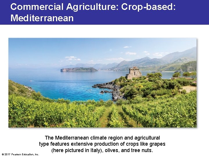 Commercial Agriculture: Crop-based: Mediterranean © 2017 Pearson Education, Inc. The Mediterranean climate region and