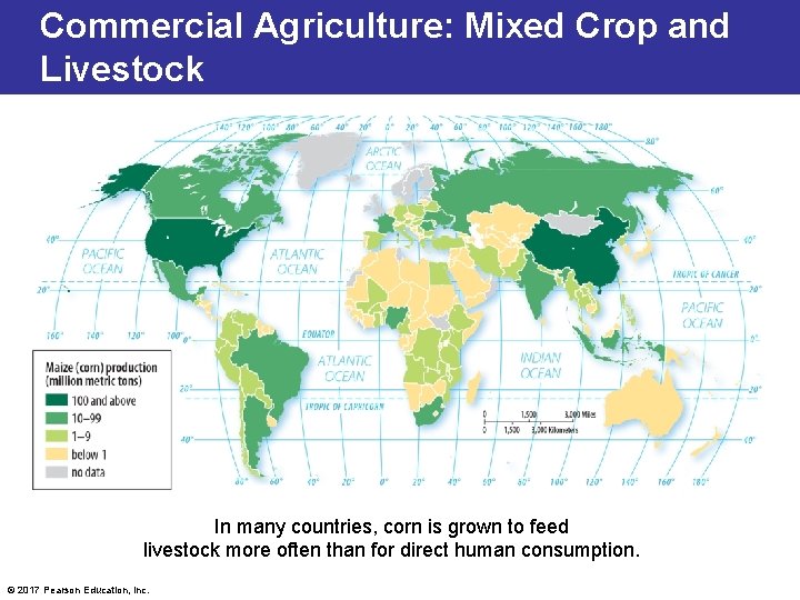 Commercial Agriculture: Mixed Crop and Livestock In many countries, corn is grown to feed