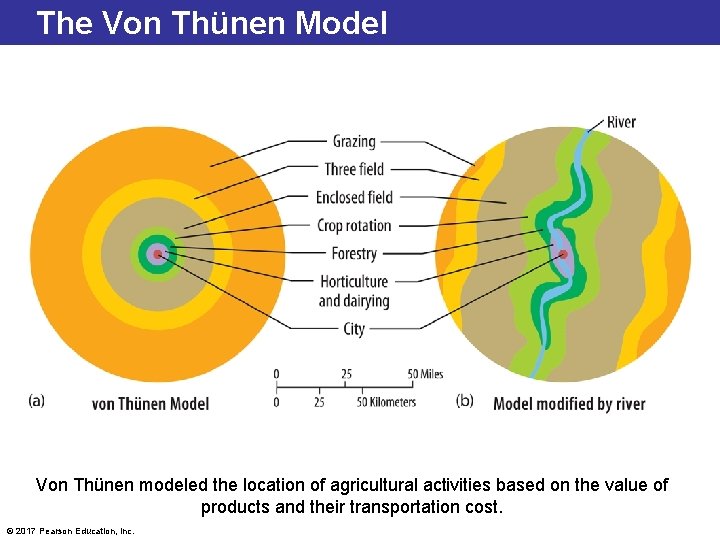 The Von Thünen Model Von Thünen modeled the location of agricultural activities based on