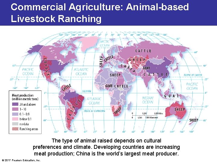 Commercial Agriculture: Animal-based Livestock Ranching The type of animal raised depends on cultural preferences