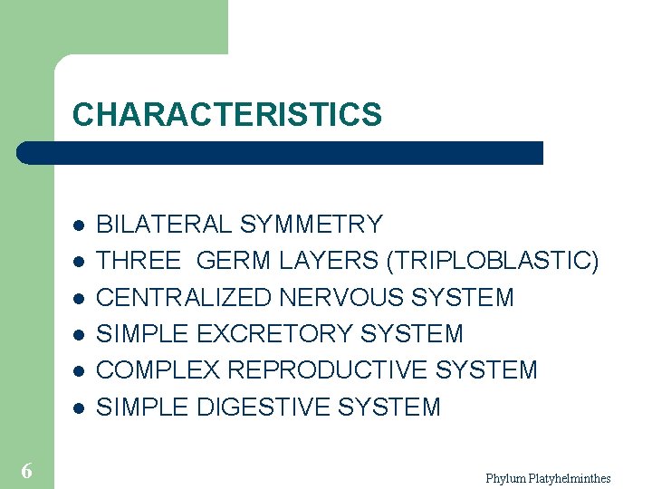 CHARACTERISTICS l l l 6 BILATERAL SYMMETRY THREE GERM LAYERS (TRIPLOBLASTIC) CENTRALIZED NERVOUS SYSTEM