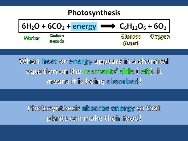 Water Carbon Dioxide Glucose (Sugar) Oxygen When heat or energy appears in a chemical