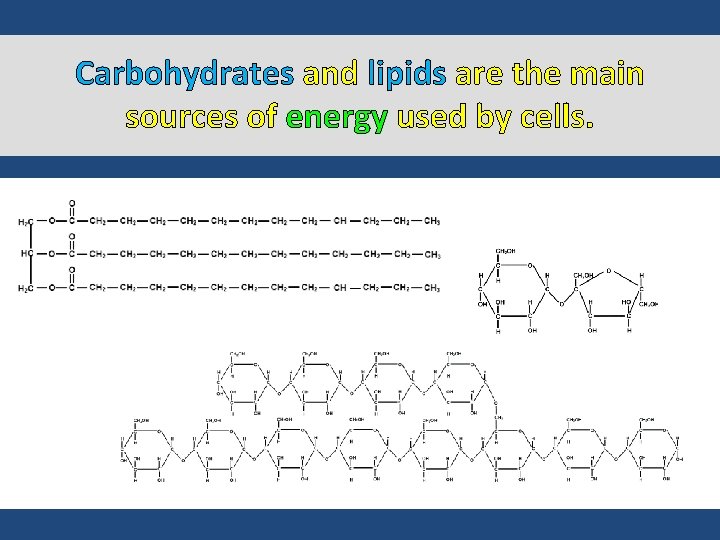 Carbohydrates and lipids are the main sources of energy used by cells. 
