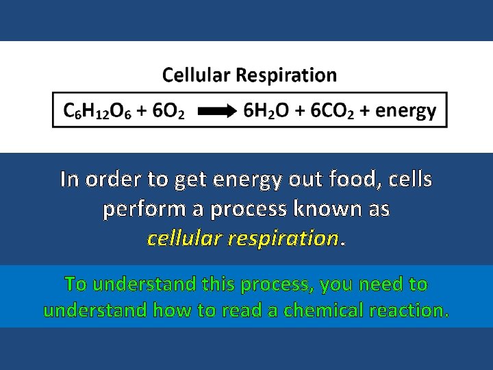In order to get energy out food, cells perform a process known as cellular
