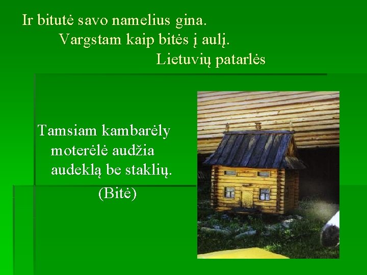 Ir bitutė savo namelius gina. Vargstam kaip bitės į aulį. Lietuvių patarlės Tamsiam kambarėly