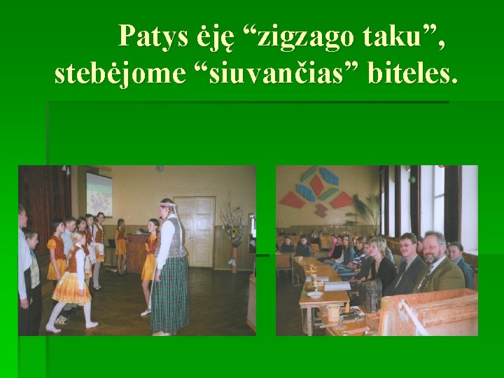 Patys ėję “zigzago taku”, stebėjome “siuvančias” biteles. 