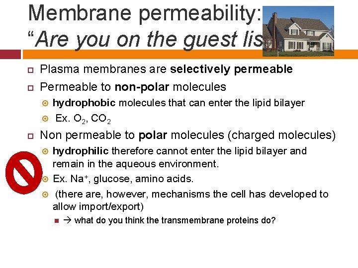 Membrane permeability: “Are you on the guest list? ” Plasma membranes are selectively permeable